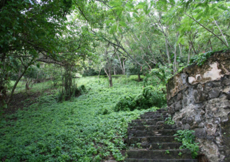 Pigeon Island
